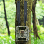 CREATIVE XP, 4G Wildkamera mit SIM-Karte sendefähig (GPRS, GSM, UMTS / 4G) – Bild 4