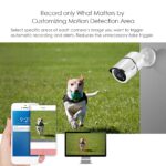 4K Ultra HD-Überwachungssystem 8CH-H.265 + 4K-Video-DVR – Bild 6