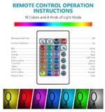 Neewer 12 Zoll RGB-Ringlicht Selfie-Ringlicht mit Stativständer und Telefonhalter – Bild 4