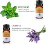 Ätherische Öle Set, 100% Reines naturrein Aroma-Öl, 6 tlg – Bild 4