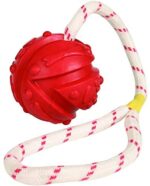 Trixie 33482 Ball am Seil, Naturgummi, schwimmt – Bild 3