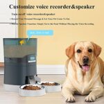 Automatischer Futterspender für Hunde und Katzen mit Zwei Stahlschalen – Bild 6