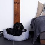 Hundebett mit Hundekissen 4-in-1 – Bild 2