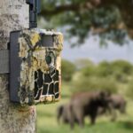 4G LTE Wildkamera 24MP, 100% Wasserdicht, Gratis 32GB Speicherkarte, APP Steuerung und Gratis Sim-Karte – Bild 5
