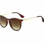 Rotbraun Rahmen (Mattes Finish)/Braun Gradiente Linse