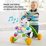 Fisher-Price DLD94 - Lern mit mir - Zebra Lauflernwagen, musikalisches Aktivitäts- und Gehspielzeug mit Lerninhalten, ab 6 Monaten (deutsche Version) – Bild 5