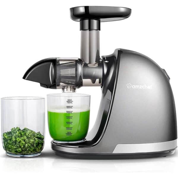 AMZCHEF Slow Juicer Entsafter Gemüse und Obst Profi Entsafter mit Ruhiger Motor & Umkehrfunktion & Saftkanne & Reinigungsbürste