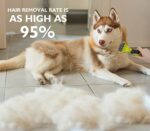 pecute Hundebürste Katzenbürste für Langhaar, Fellpflege Unterwollkamm Unterfellbürste, Hundekamm Katzenkamm gegen Verfilzungen und Unterwolle, Doppelseitige Klinge Rake Kamm + Pflege Kamm – Bild 2