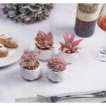 VIVERIE Künstliche Sukkulenten Pflanzen Topfset-Dekorative Gefälschte Sukkulenten Faux Plastikpflanze Indoor & Outdoor für Haus Büro Schreibtisch Badezimmer Küche DIY Dekor Geschenkset von 4, Rosa – Bild 8