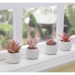 VIVERIE Künstliche Sukkulenten Pflanzen Topfset-Dekorative Gefälschte Sukkulenten Faux Plastikpflanze Indoor & Outdoor für Haus Büro Schreibtisch Badezimmer Küche DIY Dekor Geschenkset von 4, Rosa – Bild 9