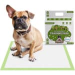 Pogi's Trainingsunterlagen , superabsorbierende, erdfreundliche Hundetrainingsunterlagen für kleine bis grösse Hunde