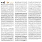 CUTE NUTRITION Mahlzeitenersatz Shake - 500g - Diät Shake inkl. Trainingsplan - Protein Shake Low Carb - Eiweisspulver GVO-frei von Tummy Tox – Bild 5