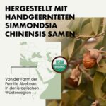Eclat Skincare, Bio Jojobaöl für Haut und Haare, reines, unraffiniertes Jojobaöl für Gesicht, Körper, Bart und Nägel, feuchtigkeitsspendende, regenerierende natürliche Feuchtigkeitscreme, kaltgepresst – Bild 4
