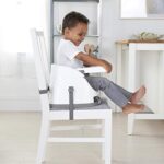 Ingenuity 2 in 1 Sitzerhöhung Stuhl, Babysitzerhöhung & Kleinkindersitz mit abnehmbaren Tablett, Essen & Fütterung Sitz für Kleinkinder, leicht zu reinigen, ideal für unterwegs, ab 6 Monaten – Bild 4