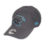 Panthers-Graphite