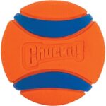 Chuckit – Ultra Ball Medium – 1 Jagdball für Hunde – Robuster und vielseitiger Ball – Ball der auf der Wasseroberfläche schwimmt – Kompatibel mit Chuckit Launchern