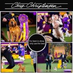 Chris Christensen Big G Zupfbürste für Hunde, Bräutigam wie ein Profi, Flaumentwirrungsstil, spart Zeit Energie, Made in Germany, Koralle – Bild 4