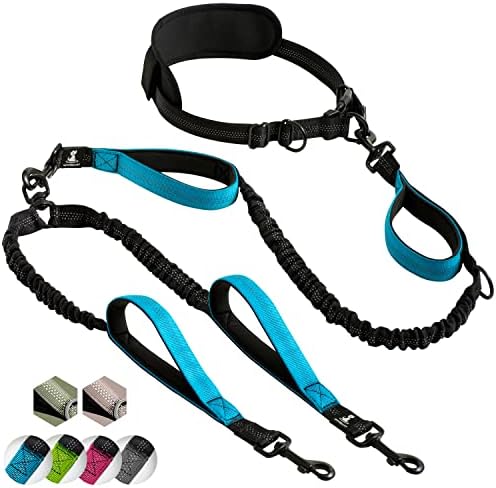 halsband mit namen hund Hundehalsband gepolstert Leder mit Namen
