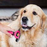 DakPets Hundebürste Unterwolle | Professionelle Bürste Hund oder Unterwolle Bürste Katze | Katzen und Hundebürste Langhaar | Edelstahl Unterfellbürste Hunde und Katzen – Bild 6