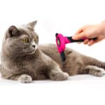 DakPets Hundebürste Unterwolle | Professionelle Bürste Hund oder Unterwolle Bürste Katze | Katzen und Hundebürste Langhaar | Edelstahl Unterfellbürste Hunde und Katzen – Bild 7