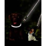 Taglory Doppelte Leinen/Hundeleine Doppelleine für 2 Hunde/Keine Verwicklung Reflektierend Kletterseil/Verstellbar Splitterleinen – Bild 6