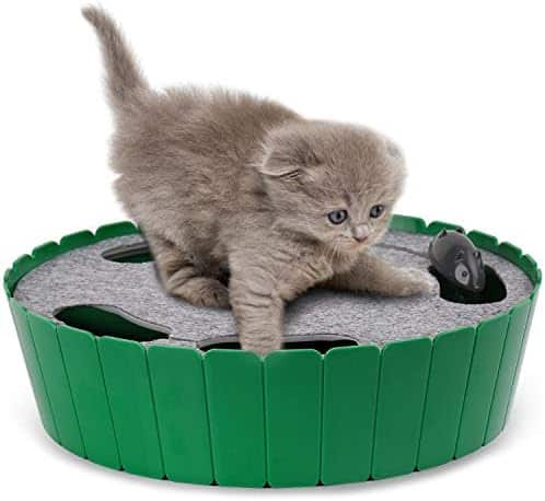 41cRAK505bL._AC_.jpg Pawaboo Katzenspielzeug Elektrische Maus, Interaktiv Kätzchen Spielzeug Katzenbett Kratzmatte Katzenminze, Süss und Sicher Spielzeug Spielball für Kleine Katze Spiel Beissen Kauen – Bild 1