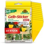 Neudorff Gelbsticker gegen kleine fliegende Schädlinge wie Trauermücken, insektizid frei, geruchlos, 10 Stück