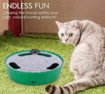 Pawaboo Katzenspielzeug Elektrische Maus, Interaktiv Kätzchen Spielzeug Katzenbett Kratzmatte Katzenminze, Süss und Sicher Spielzeug Spielball für Kleine Katze Spiel Beissen Kauen – Bild 3