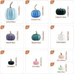 Benjia 17 Stück Kürbis Herbst Deko Dekoration Draussen, Gross Mini Klein Weiss Blau Rosa Grün Kürbisse Zierkürbisse Herbstdeko Herbstdekorationen Halloween – Bild 6