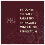 Sheamoisture Jamaican Black Castor Oil ohne Silikone oder Sulfate Strengthen & Restore Conditioner für chemisch behandeltes, hitzegestyltes oder natürliches Haar, 384 ml – Bild 6
