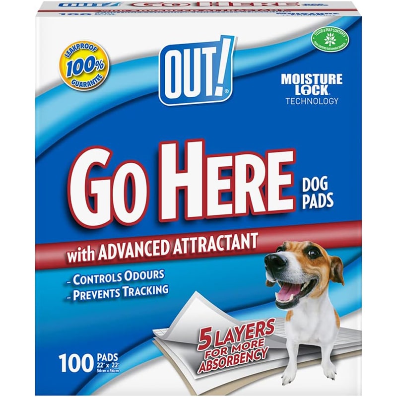 100pack OUT Go Here Ultra saugfähige Training Pads – Bild 1
