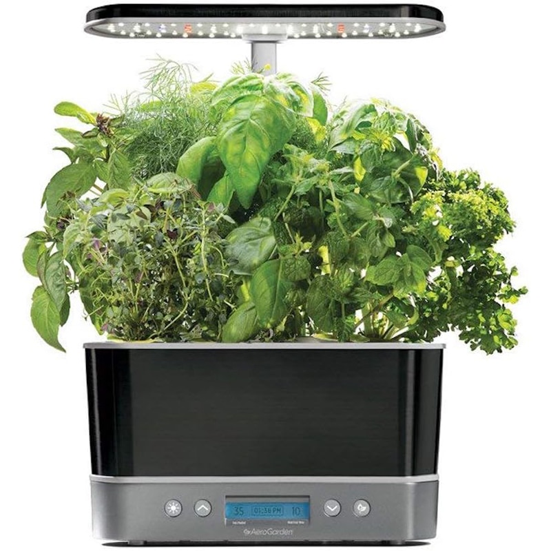 aerogarden AeroGarden Harvest Elite Hydrokultursystem für den Innenbereich, mit LED-Wachstumslicht und Kräuter-Set, hält bis zu 6 Kapseln – Bild 1