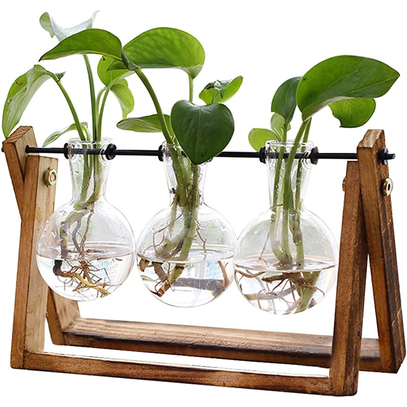 flower1 XXXFLOWER Pflanzen-Terrarium mit Holzständer