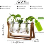 Pflanzen-Terrarium size