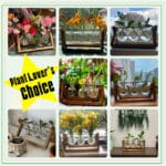 plant lover choice