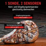 1 sonte, 2 sensoren