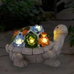 1.Schildkröte