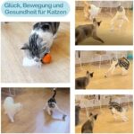 Migipaws Elektrisches Katzenspielzeug 3-in-1 - Beweglicher Ball, Plüschmäuse & Federn, DIY, USB Wiederaufladbar
