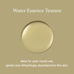 [I'm From] Mugwort Essence – 100% Vegan, Beruhigend & Feuchtigkeitsspendend, Koreanischer Toner für Empfindliche Haut