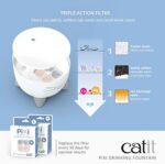 Catit Pixi Trinkbrunnen für Katzen, 2,5L