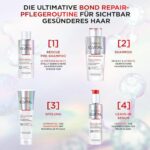 L'Oréal Elvital Bond Repair Set - Haarpflege mit Pre-Shampoo, Shampoo & Spülung – Schutz vor Haarbruch & mehr Glanz