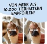 Belly Pfotenbalsam – Heilung & Pflege für trockene Hundepfoten, 50 ml
