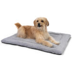 TrendPet Heaven 4cm Wendedecke – Kuscheldecke für Hunde & Katzen, Grau