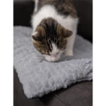 TrendPet Heaven 4cm Wendedecke – Kuscheldecke für Hunde & Katzen, Grau
