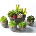 Set mit 5 künstlichen Sukkulenten & Töpfen – Bunte Deko für Zuhause, Büro & Outdoor