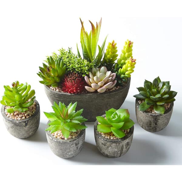 Set mit 5 künstlichen Sukkulenten & Töpfen – Bunte Deko für Zuhause, Büro & Outdoor
