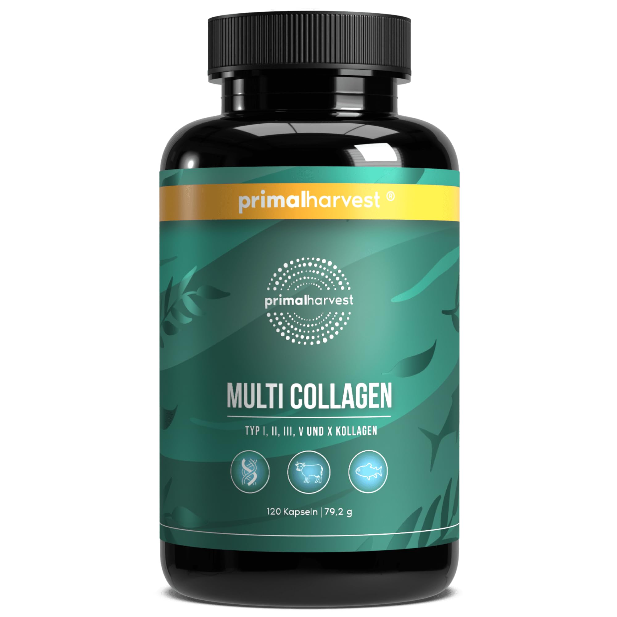 61RYejEW1qL._SY2000_.jpg Primal Multi Collagen Kapseln – 5 Kollagentypen mit Vitamin C für Haut & Gelenke – Bild 1