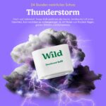 Wild Nachfüllbares Deodorant Starterset für Männer – Aluminiumfrei & Vegan – Bild 9