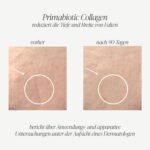 Kollagen Trinkampullen 10000 mg – Primabiotic Collagen Peptide mit Vitaminen für Haut & Haare – Bild 6