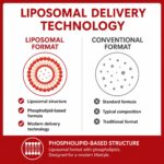 Liposomales CoQ10 Ubiquinol 600 mg – Hochdosiert für optimale Zellenergie & Vitalität – Bild 3